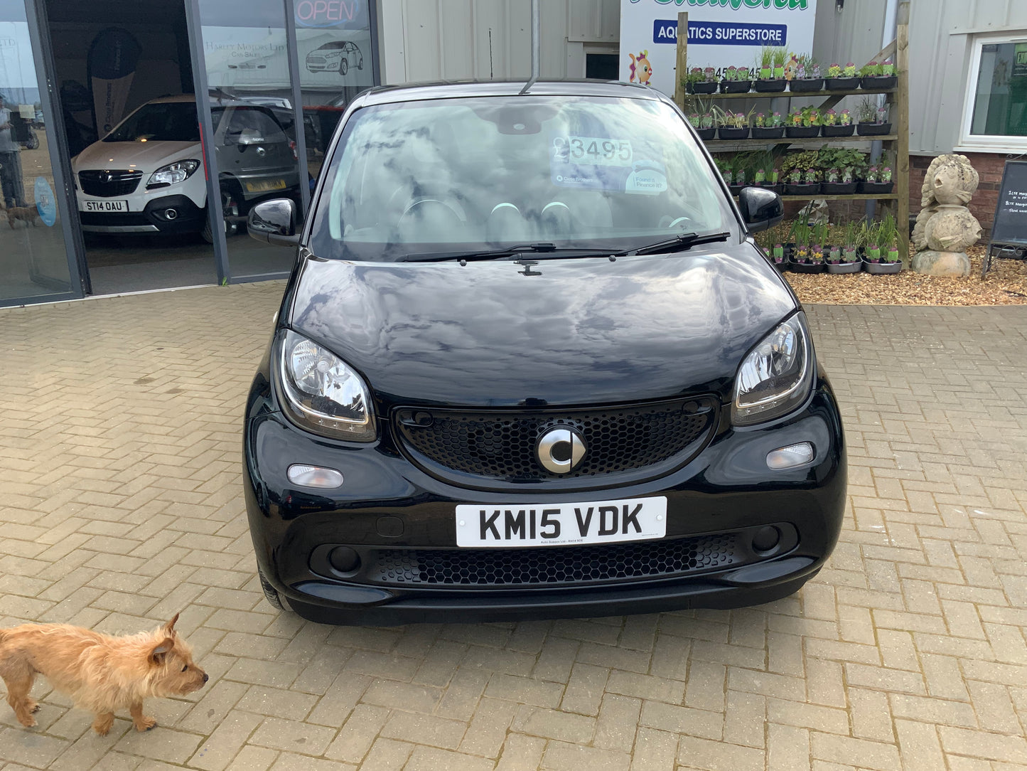 Smart car forfour passion