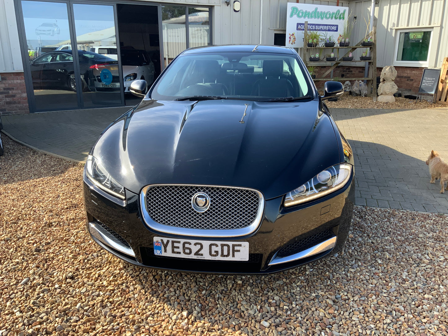 Jaguar XF 2.2L SE Business